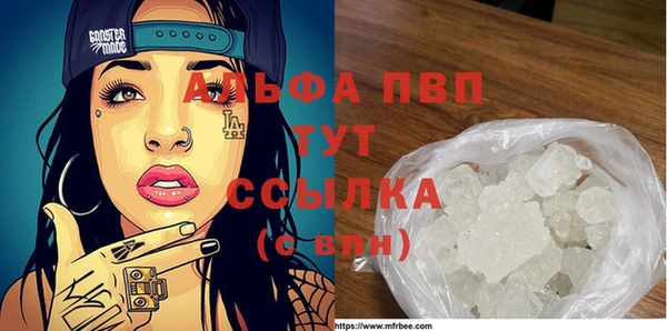 крисы Алексин